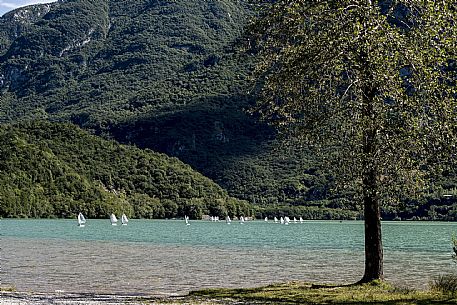 Mini Yacht race at Cavazzo lake